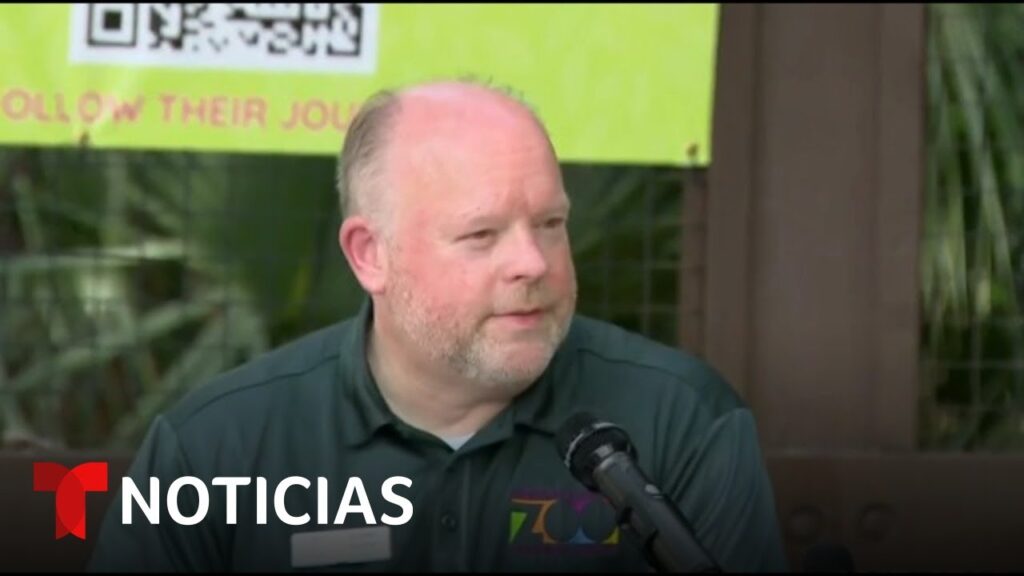 Autoridades reaccionan a la muerte de decenas de perezosos en Florida