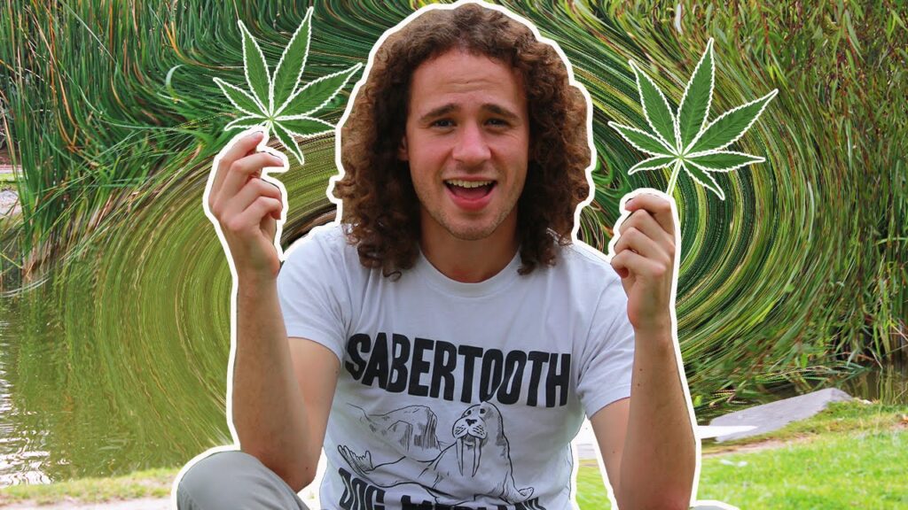 MARIHUANA COMESTIBLE (mi primera vez)