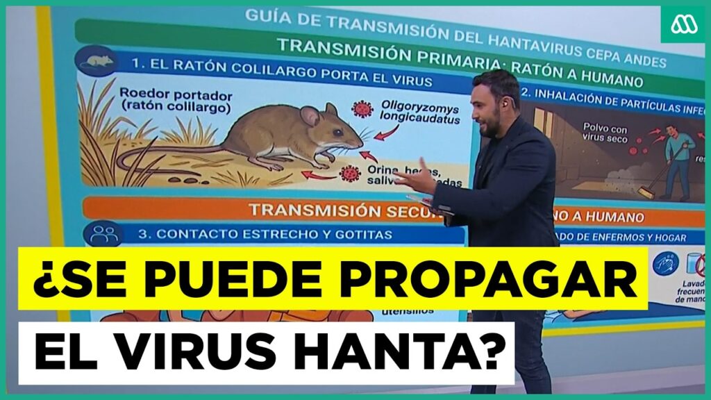 Alerta internacional por virus hanta: ¿Es posible una propagación?