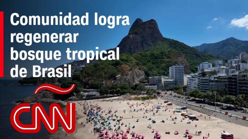 Una comunidad de Río de Janeiro logró reconstruir su bosque tropical urbano
