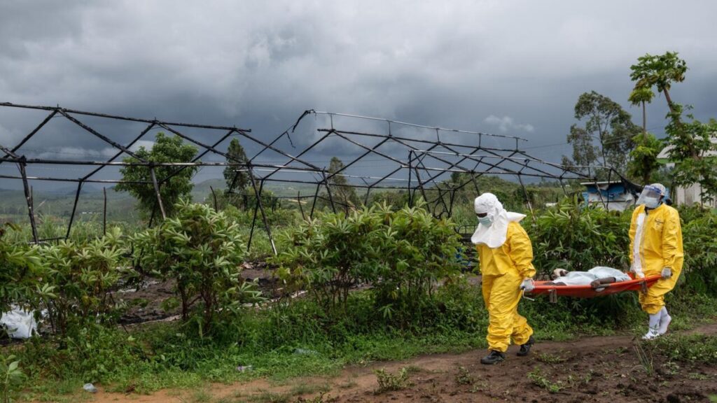 Ébola en RD Congo: ¿por qué el virus sigue fuera de control? – El Debate