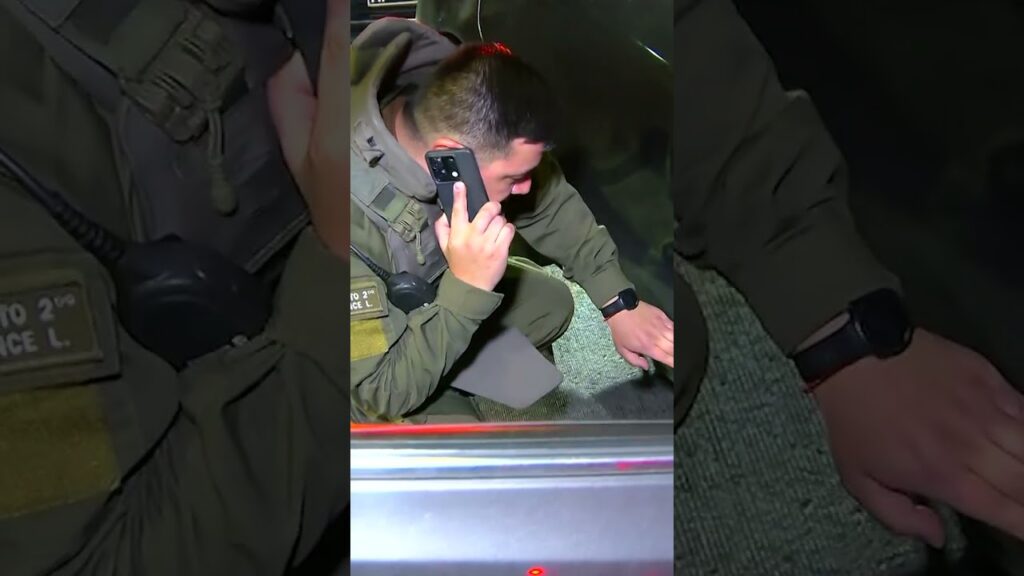 Delincuentes robaron minimarket, chocaron en la huida e intentaron disparar a Carabineros