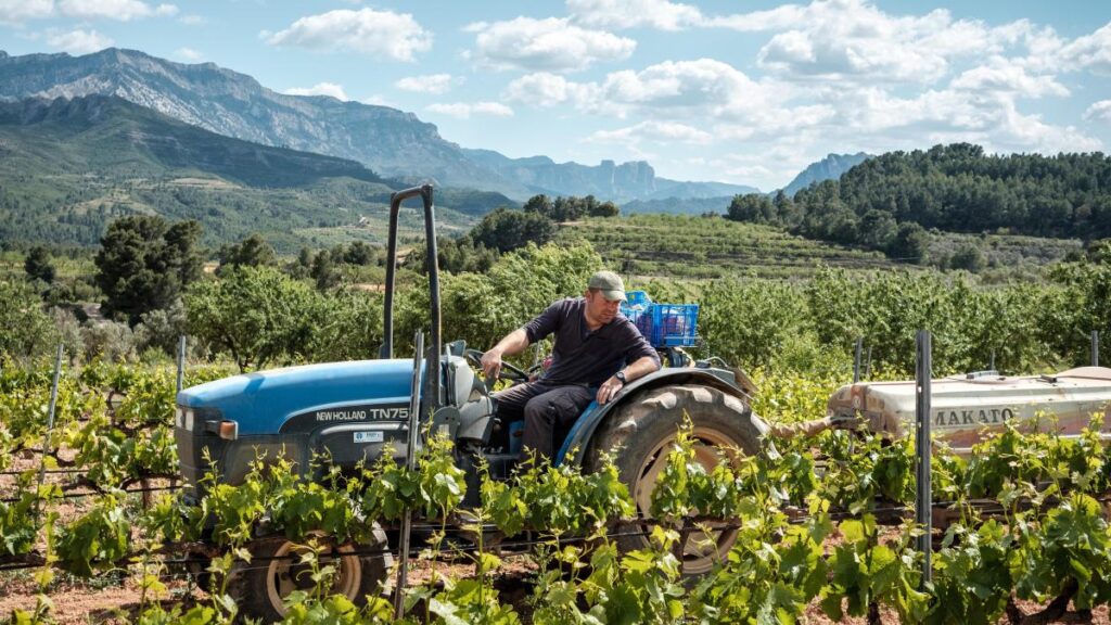 Impulso al enoturismo en Catalunya para aliviar la caída de las ventas de vino